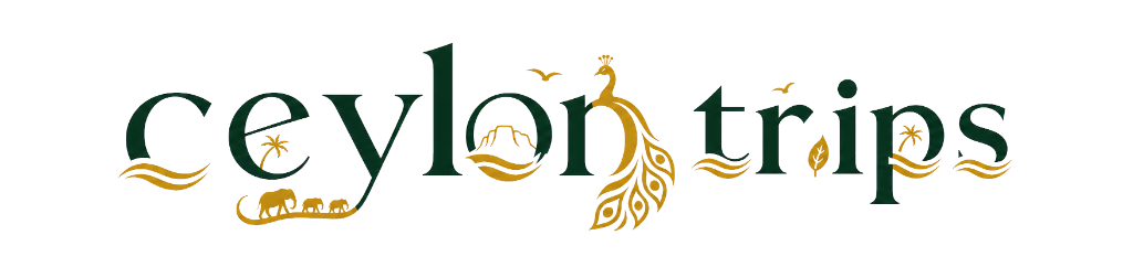 CeylonTrips.lk Logo